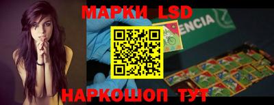 гидропоника Краснознаменск