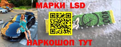 гидропоника Краснознаменск