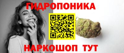 гидропоника Краснознаменск