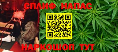 гидропоника Краснознаменск